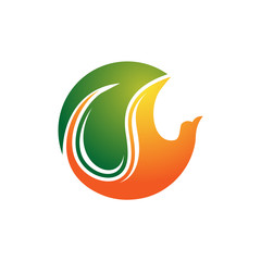 Obraz premium Nature Bird Animal Conservation