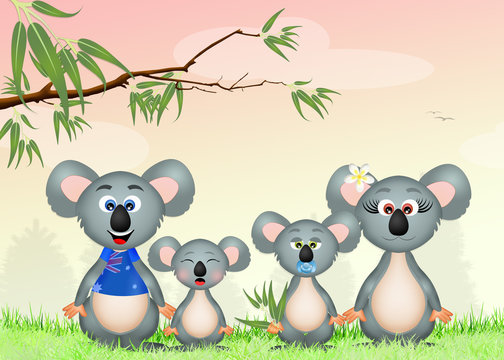 family of koalas