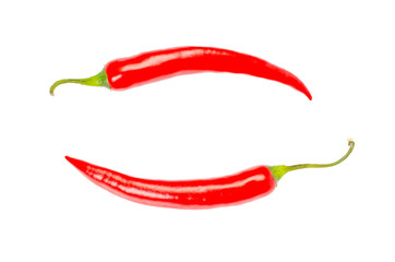 Red hot chili pepper isolated on a white background