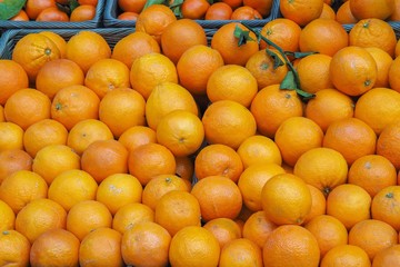 Pattern created by assortment of several orange fruits on a market stall, ideal for background.