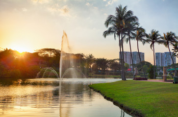 Palm, lake and sunset