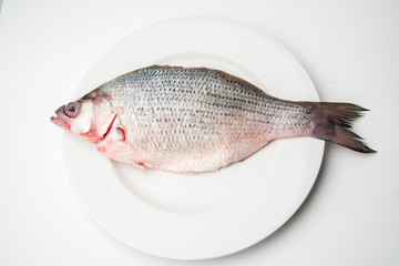 raw sea bass