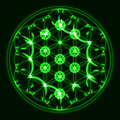 Vector Tree of Life, sacred geometry symbol