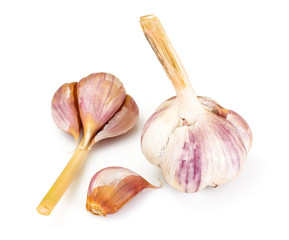 Garlic Head Isolated on White Background
