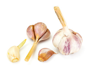 Garlic Head Isolated on White Background