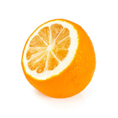 Oranges Isolated on White Background