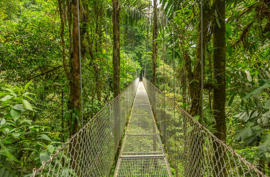 Fototapeta Hanging bridge in Costa Rica