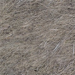 Dry old grass texture seamless background