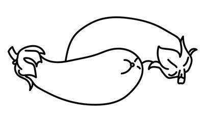 Illustration of isolated black and white eggplant for