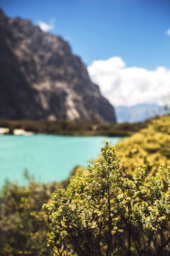 Huaraz, Peru, Huandoy mountain and Paron lake