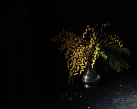 Mimosa bouquet in vintage pitcher on a black background
