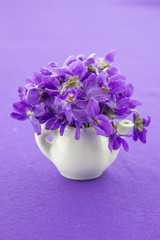 Obraz na płótnie Canvas Wild violets on my table