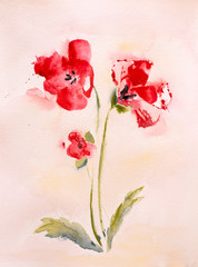 Watercolor painting of poppy flowers with sunny background