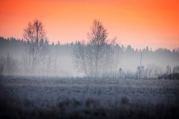 winter morning scene