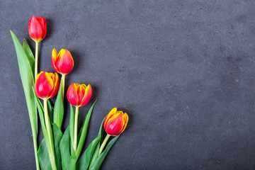 Color tulips on wooden background with copy space for message. Top view. For Mother's Day, Woman's day or Wedding day