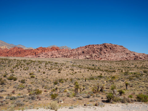 Rocks of Red Rock Canyon