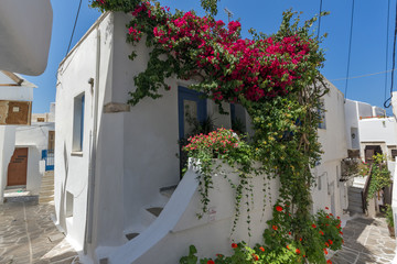 Fototapeta na wymiar White house covered with red flowers, Chora town, Naxos Island, Cyclades, Greece