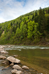 River in Carpathians mountains in spring