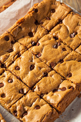 Homemade Chocolate Chip Blondies
