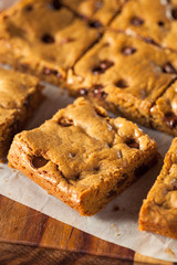 Homemade Chocolate Chip Blondies