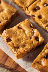 Homemade Chocolate Chip Blondies