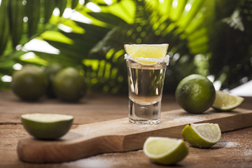 Gold tequila shot with lime fruits - obrazy, fototapety, plakaty