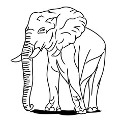 Big elephant (circuit)