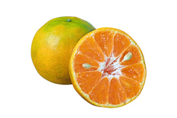 Orange honeysuckle species