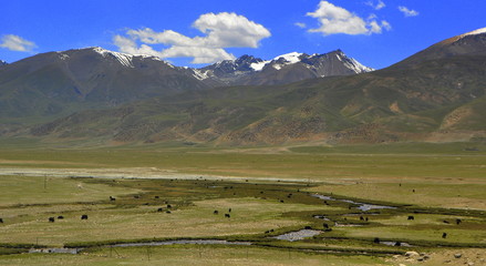 unterwegs mit der Tibet-Bahn nach Lhasa