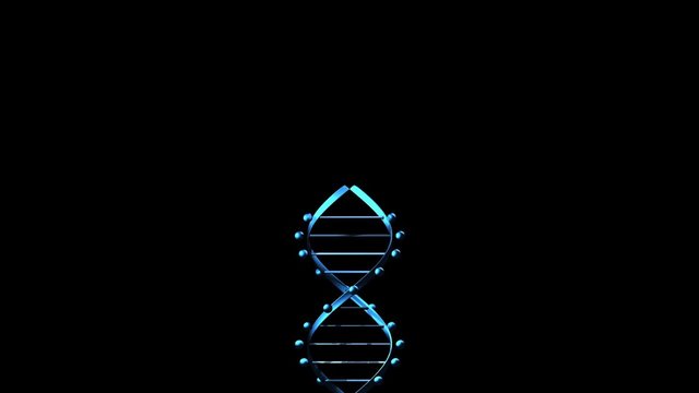 Wide shot of a 3d spiraling blue DNA helix on black.