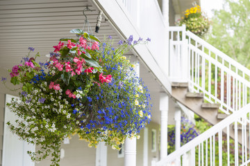 Hanging flower basket