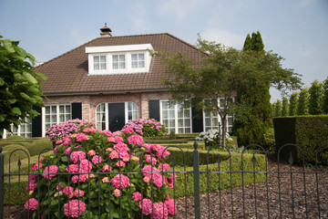  pink flowers in fornt of the house