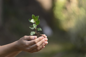Cultivating the future in his hands