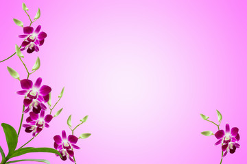 Fototapeta na wymiar Bright frame made of beautiful purple orchid flowers with space