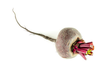 Single beetroot bulb isolated on white