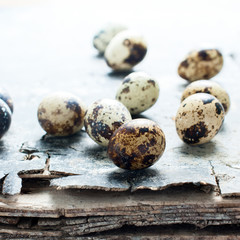 Obraz premium Quail Eggs Vintage Background Selective Focus
