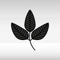 Obraz premium leaf icon design 