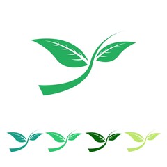 natural logo icon Vector
