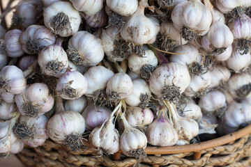 Fresh garlic