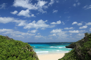 Fototapeta premium beautiful beach