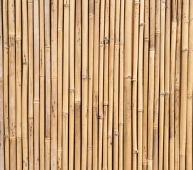 bamboo fence