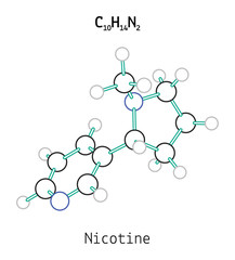 C10H14N2 nicotine molecule