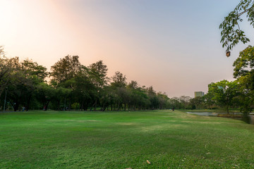 park landscape thailand