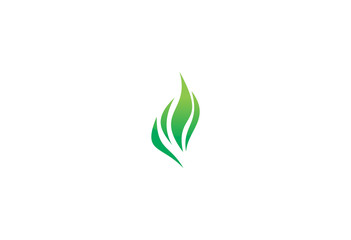green eco flame design logo © patrizia37