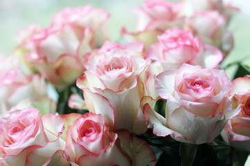 beautiful pink roses bouquet