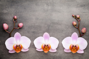 Spa orchid theme objects on grey background.