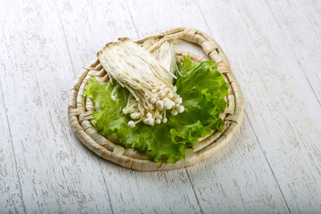 Enoki mushroom