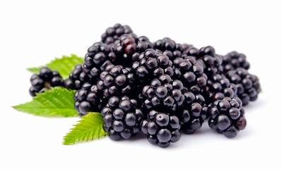 Blackberry fruit with leafs