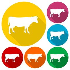 Cow silhouette icons set with long shadow