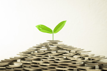 Fototapeta na wymiar Growing plant on pile of coin money for finance and banking concept